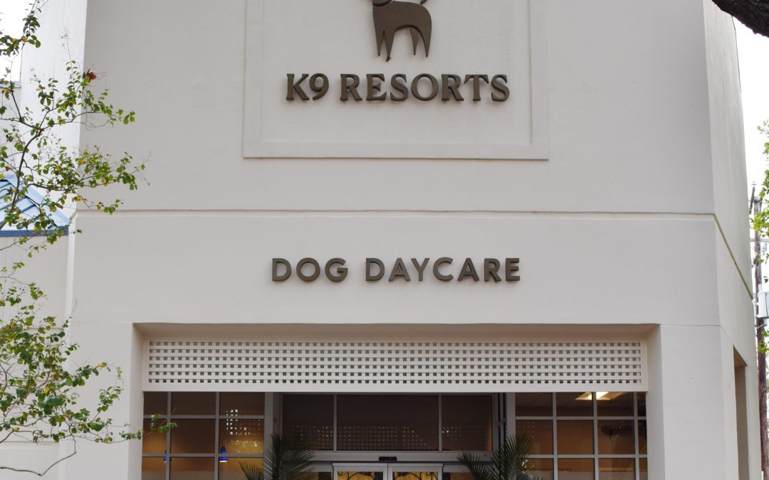 K-9 Resort Luxury Day Care